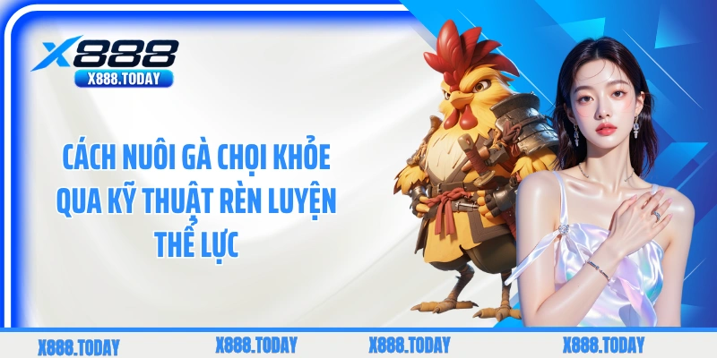 Cách nuôi gà chọi khỏe qua kỹ thuật rèn luyện thể lực