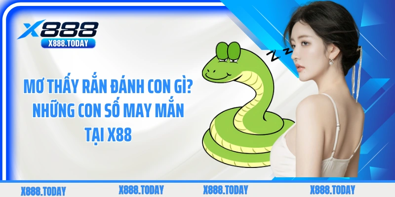 Tìm hiểu ý nghĩa phong thuỷ khi nằm ngủ mơ thấy rắn